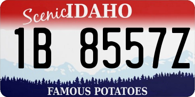 ID license plate 1B8557Z