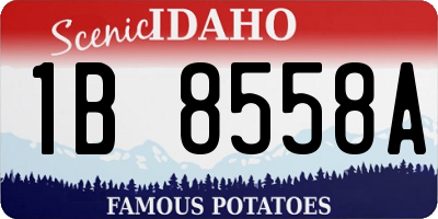 ID license plate 1B8558A