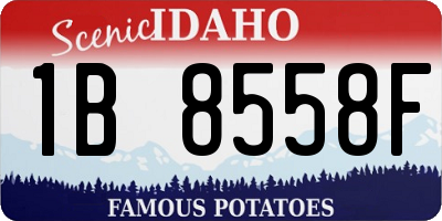 ID license plate 1B8558F