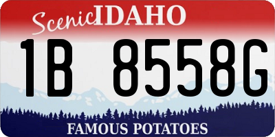 ID license plate 1B8558G