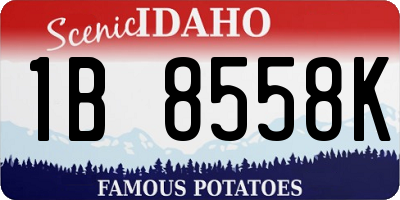 ID license plate 1B8558K