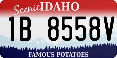 ID license plate 1B8558V