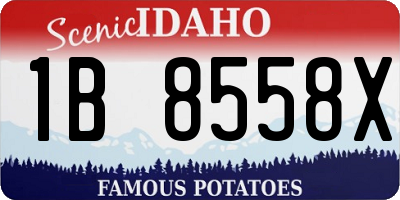 ID license plate 1B8558X