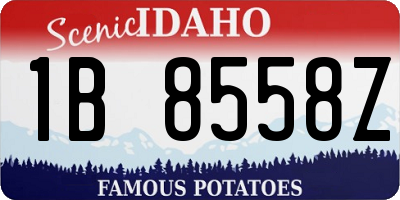 ID license plate 1B8558Z