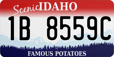 ID license plate 1B8559C