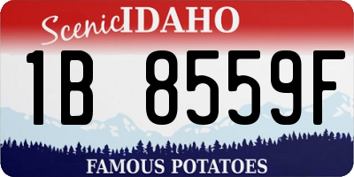 ID license plate 1B8559F