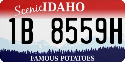 ID license plate 1B8559H