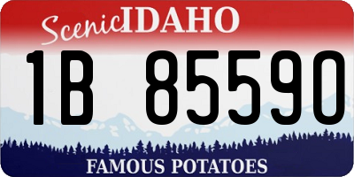 ID license plate 1B8559O