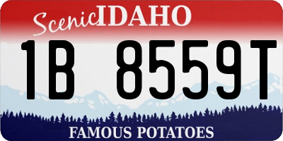 ID license plate 1B8559T