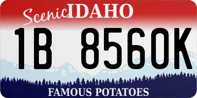 ID license plate 1B8560K
