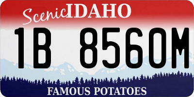 ID license plate 1B8560M