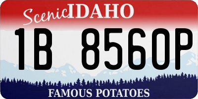 ID license plate 1B8560P