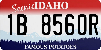 ID license plate 1B8560R