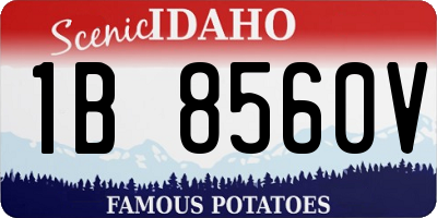 ID license plate 1B8560V