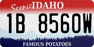 ID license plate 1B8560W