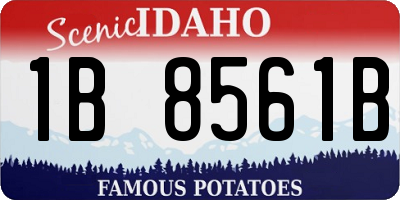 ID license plate 1B8561B