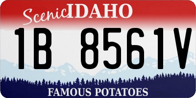 ID license plate 1B8561V