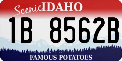 ID license plate 1B8562B