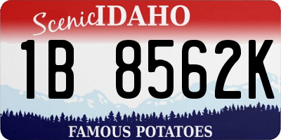 ID license plate 1B8562K