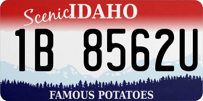 ID license plate 1B8562U