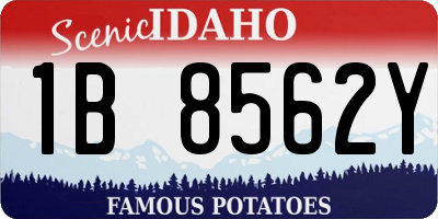 ID license plate 1B8562Y