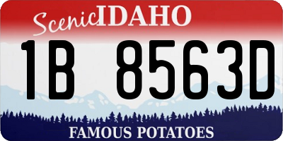 ID license plate 1B8563D