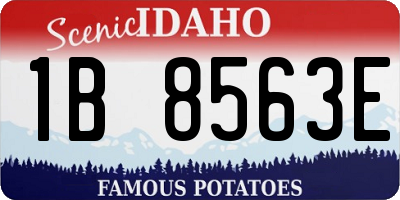 ID license plate 1B8563E