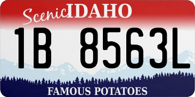 ID license plate 1B8563L