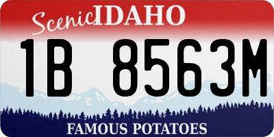 ID license plate 1B8563M