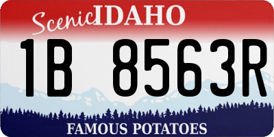 ID license plate 1B8563R