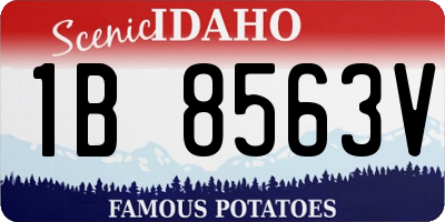 ID license plate 1B8563V