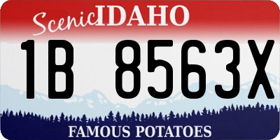 ID license plate 1B8563X