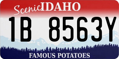 ID license plate 1B8563Y