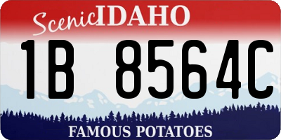 ID license plate 1B8564C