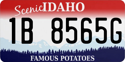 ID license plate 1B8565G