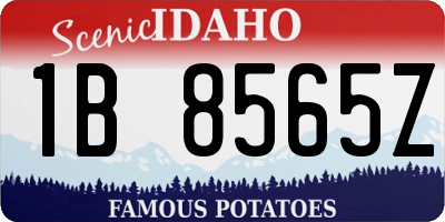 ID license plate 1B8565Z
