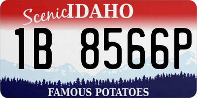 ID license plate 1B8566P