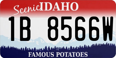 ID license plate 1B8566W