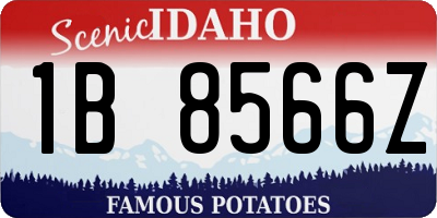 ID license plate 1B8566Z