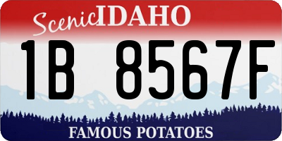 ID license plate 1B8567F