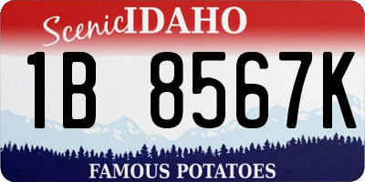 ID license plate 1B8567K