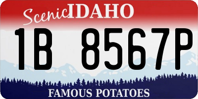 ID license plate 1B8567P