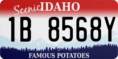 ID license plate 1B8568Y