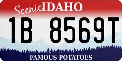 ID license plate 1B8569T