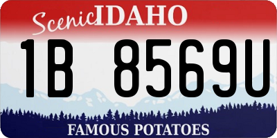 ID license plate 1B8569U