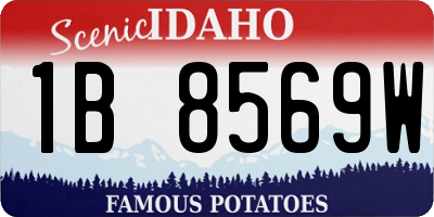 ID license plate 1B8569W