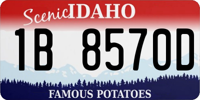 ID license plate 1B8570D