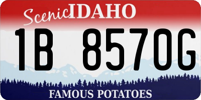 ID license plate 1B8570G