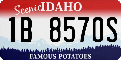 ID license plate 1B8570S