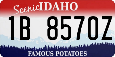 ID license plate 1B8570Z